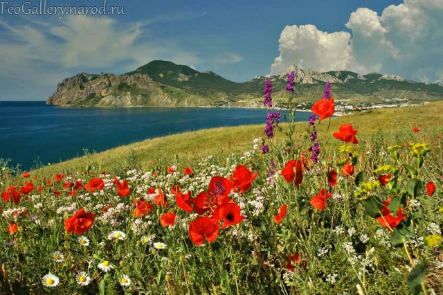 Фото Крым. Вид на Карадаг с побережья Коктебель