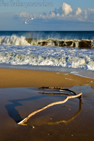 Фото Крым. Золотой пляж на востоке от города Феодосия