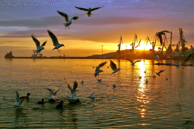 Фото Крым. Вид на Феодосийский порт с набережной