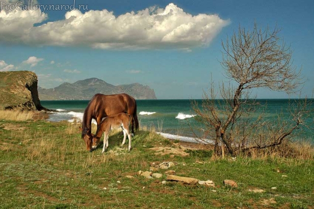 Фото Крым. Вид на Карадаг с берега