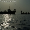 Фото Крым.Феодосийский залив. Лов рыбы