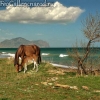 Фото Крым. Вид на Карадаг с берега