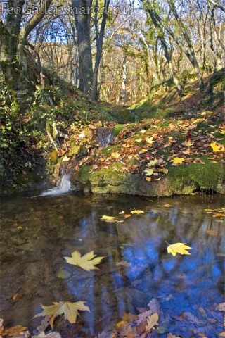 Фото Крым. Водяная балка